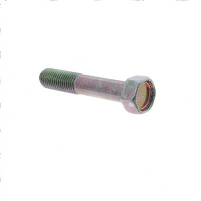Picture of Bolt