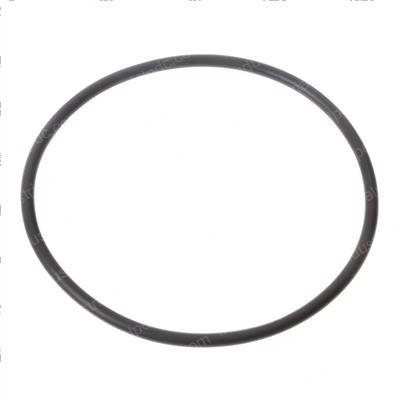 Picture of O Ring