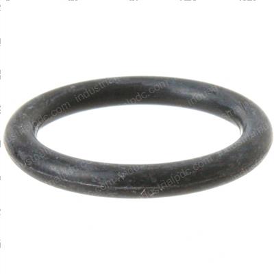 Picture of O-Ring