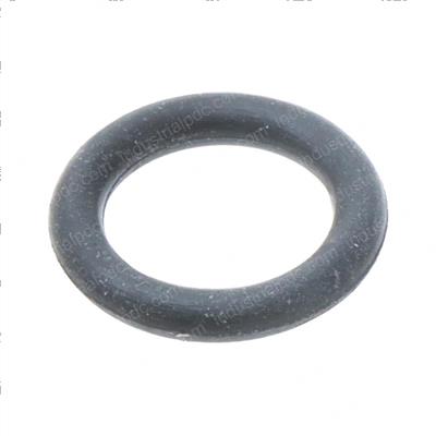 Picture of O-Ring