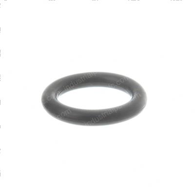 Picture of O-Ring