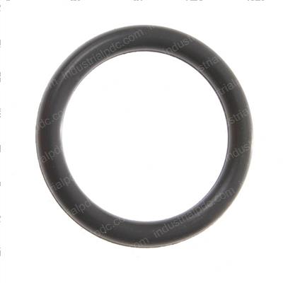 Picture of O-Ring