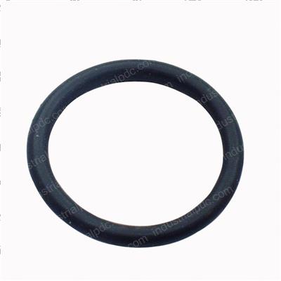 Picture of O-Ring