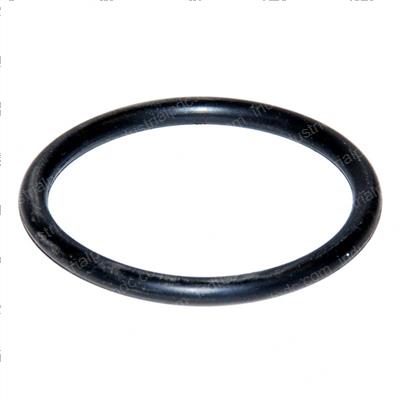 Picture of O-Ring