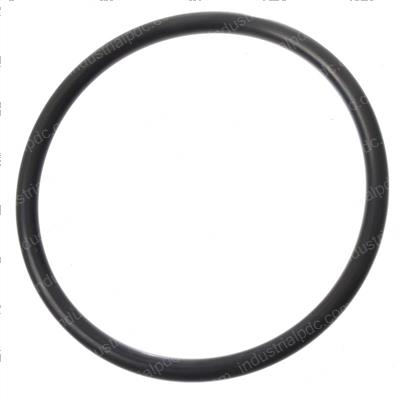 Picture of O-Ring