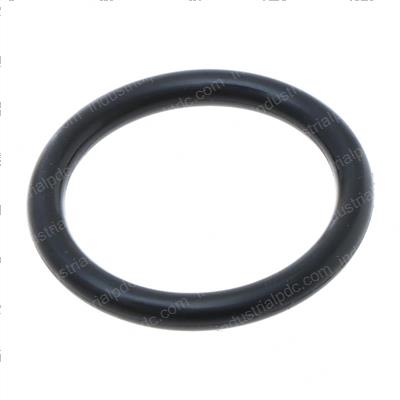 Picture of O Ring