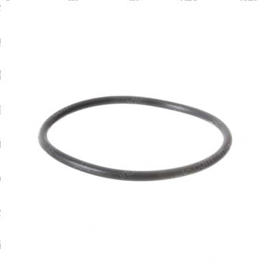 Picture of O-Ring
