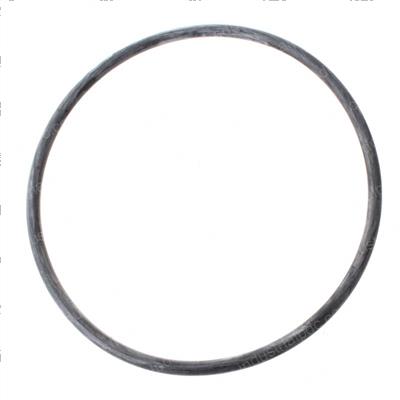 Picture of O-Ring