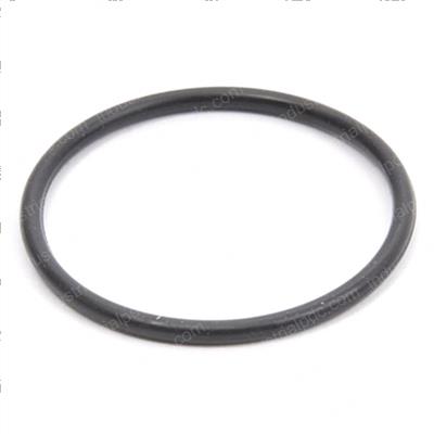 Picture of O-Ring