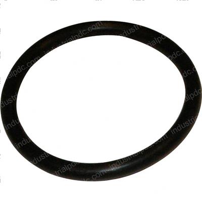 Picture of O-Ring