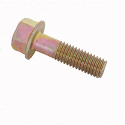 Picture of Bolt