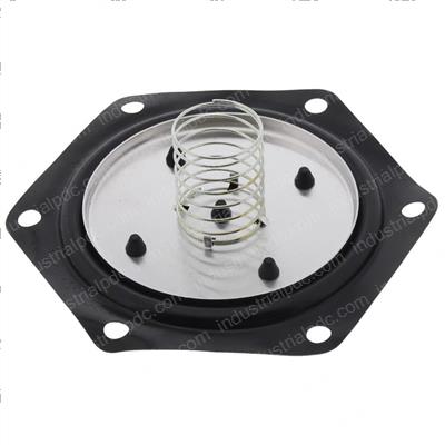 Picture of Diaphragm