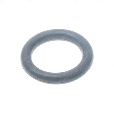 Picture of O-Ring