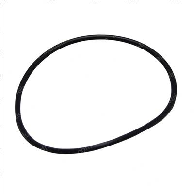 Picture of O-Ring
