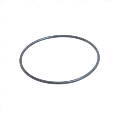 Picture of O-Ring