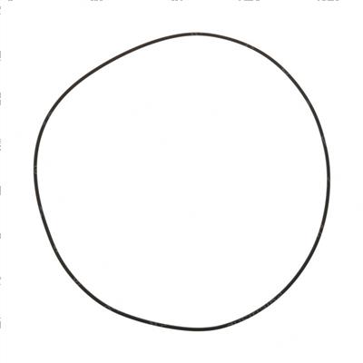 Picture of O-Ring