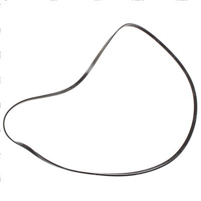 Picture of Ring - Back Up