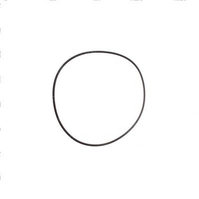 Picture of O-Ring