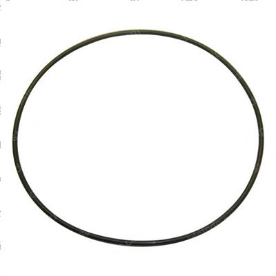 Picture of O-Ring