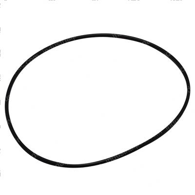 Picture of O-Ring