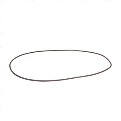 Picture of O-Ring