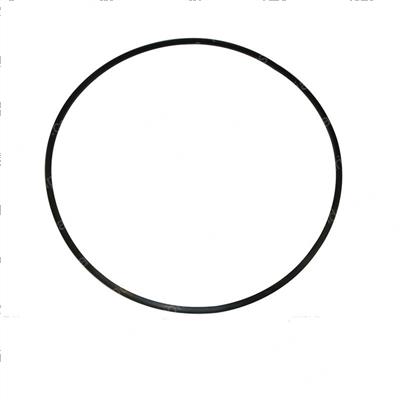 Picture of O-Ring