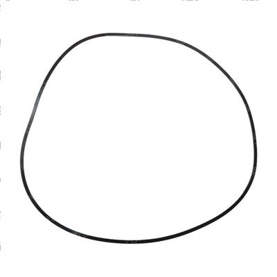 Picture of Back Up Ring