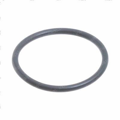 Picture of O-Ring