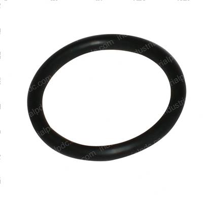 Picture of O-Ring