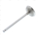 Picture for category General Catalog Engine Engine Valves