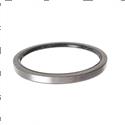 Picture of Seal - Oil