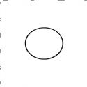 Picture of O-Ring