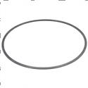 Picture of Ring - Back Up