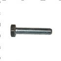 Picture of Bolt