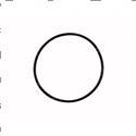 Picture of O-Ring - Strobe