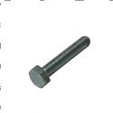 Picture of Bolt