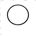 Picture of O-Ring