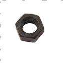 Picture of Nut