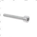 Picture of Bolt