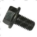 Picture of Capscrew - Flanged
