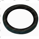 Picture of Seal - Oil