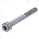 Picture of Bolt