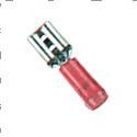 Picture of Disconnect - Female