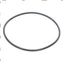 Picture of O-Ring