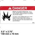 Picture of Decal - Danger Battery