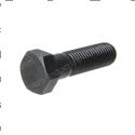 Picture of Bolt