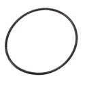Picture of O-Ring