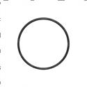 Picture of O-Ring