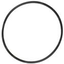 Picture of O-Ring