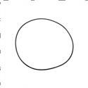 Picture of Oring